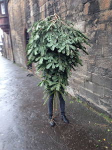 http://www.unahamiltonhelle.co.uk/files/gimgs/th-15_th-6_artistasatree_web.jpg